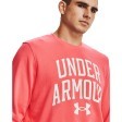 Мъжка блуза Under Armour Rival Terry